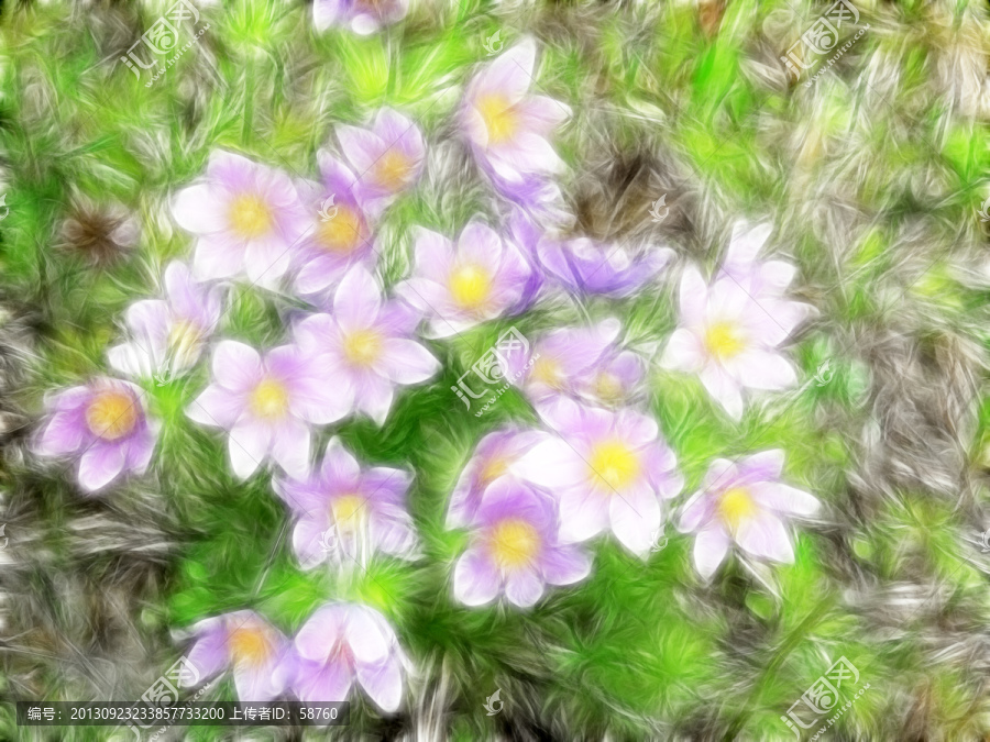 抽象花朵,電腦畫
