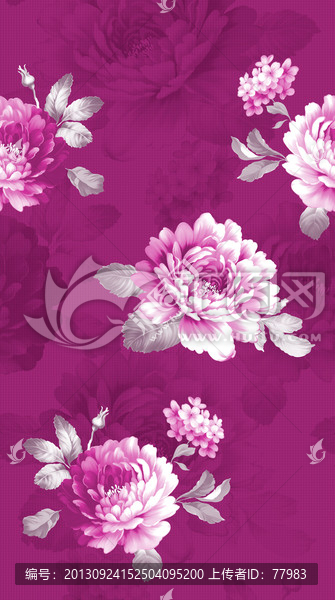 漂亮花卉（牡丹）（去底分層）