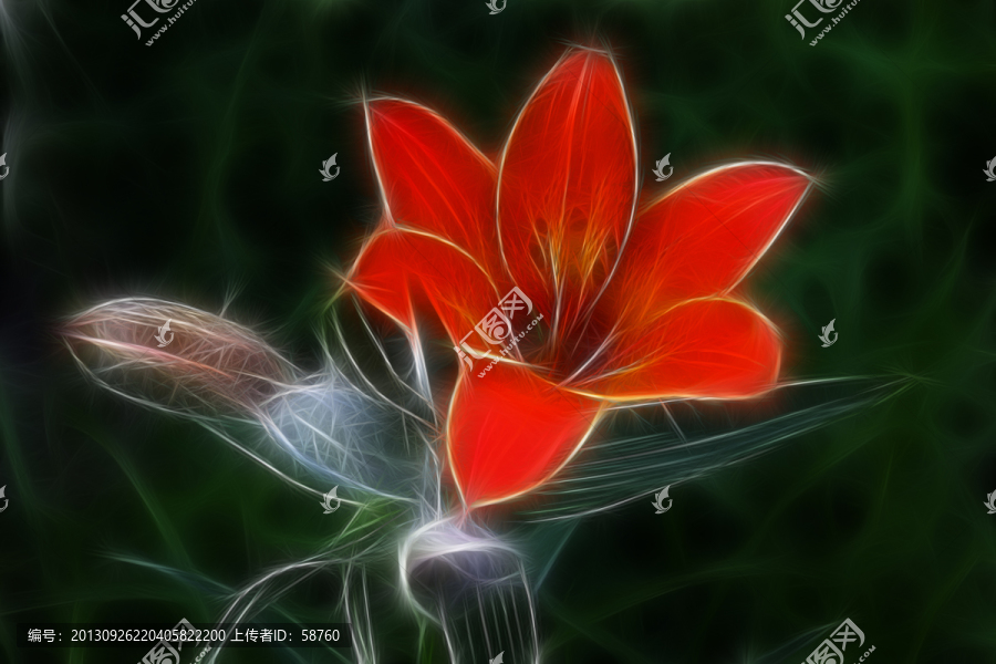 百合花,電腦抽象畫