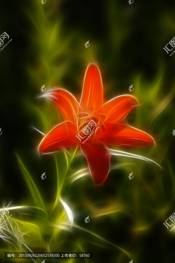 百合花,電腦抽象畫