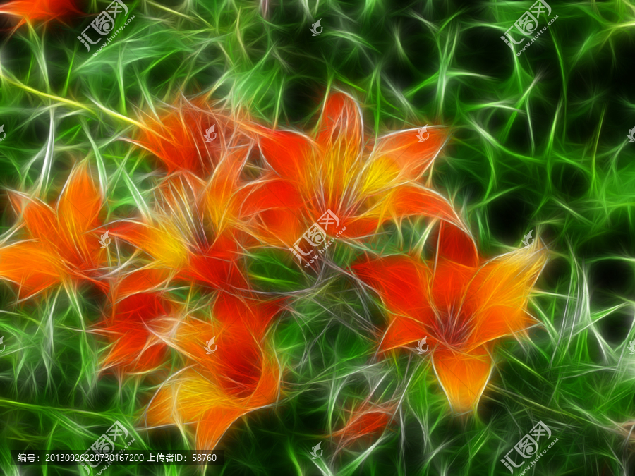 百合花,電腦抽象畫