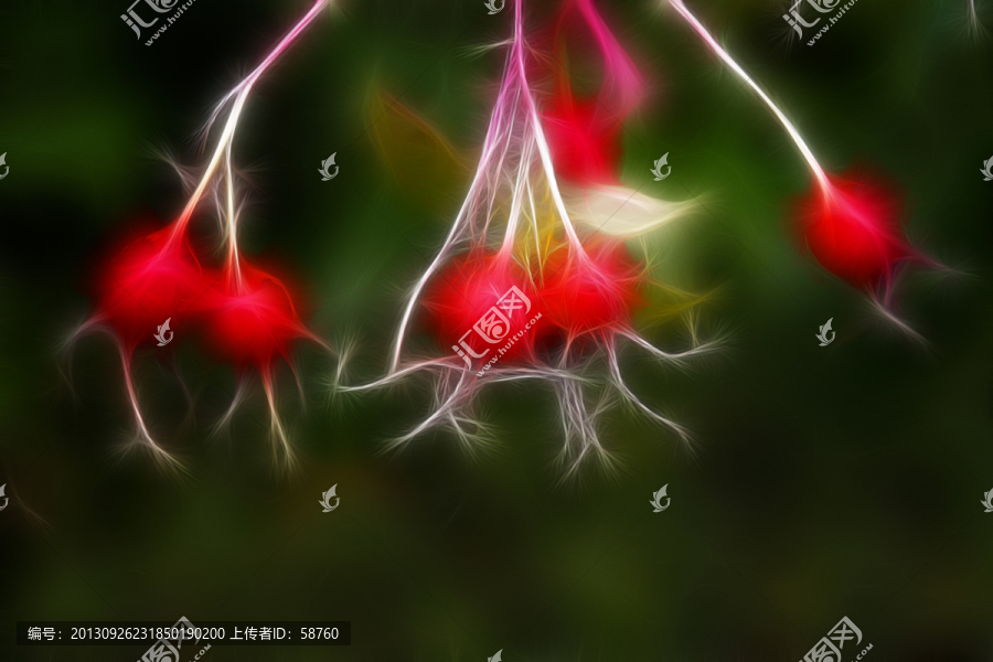 野薔薇果,電腦抽象畫