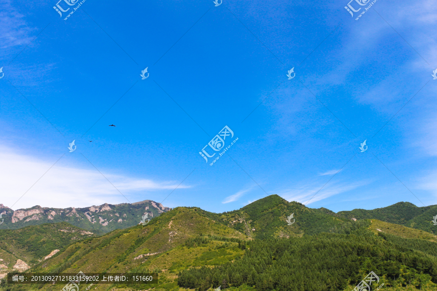 茅荆坝森林公园