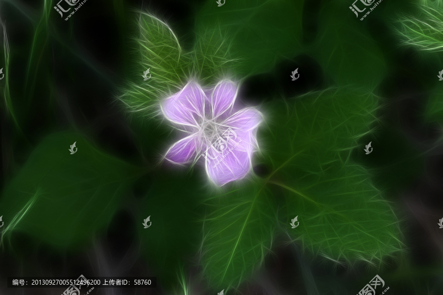 東方草莓,電腦抽象畫