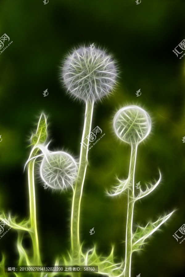 抽象電腦畫,藍刺頭