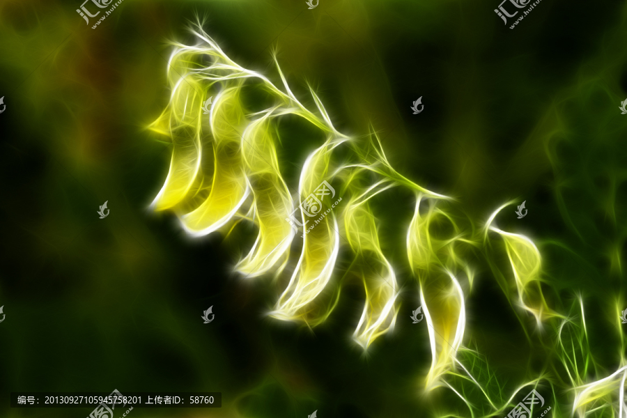 抽象畫,黃芪
