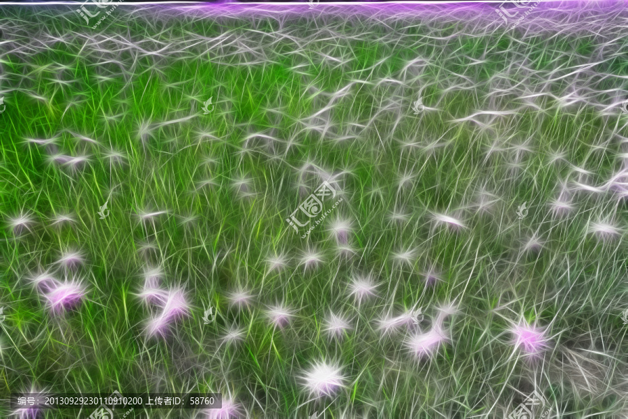 草原花海,電腦畫