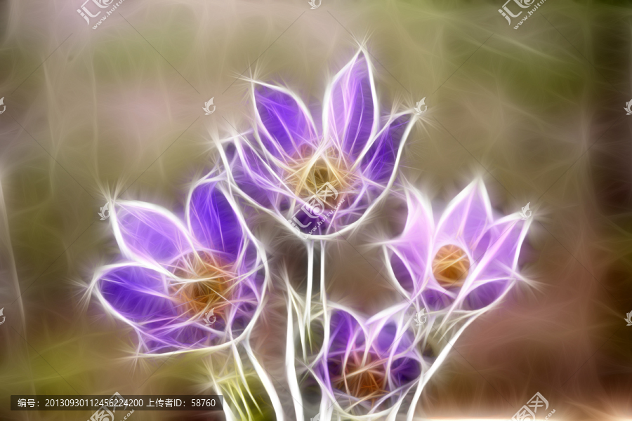 抽象之花,電腦畫