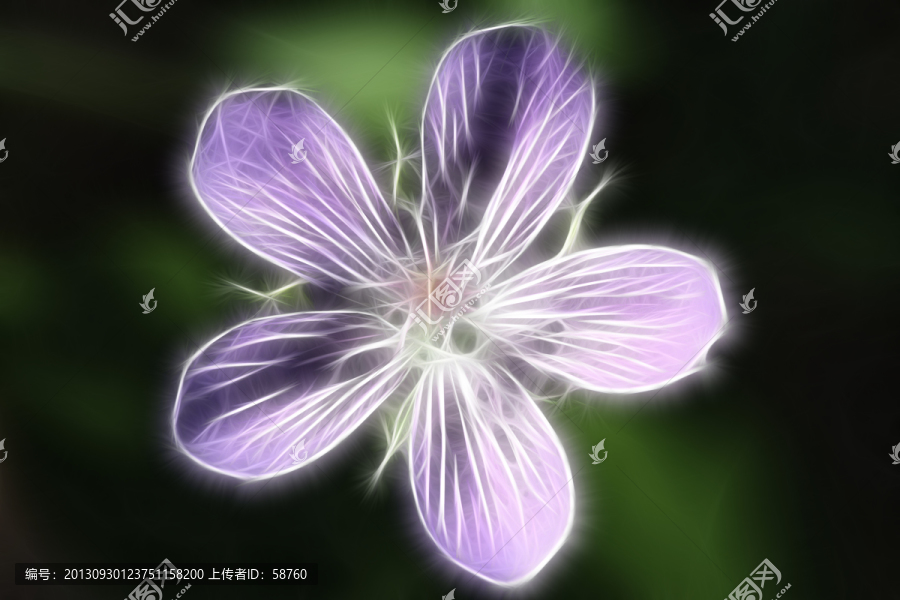抽象之花,電腦畫