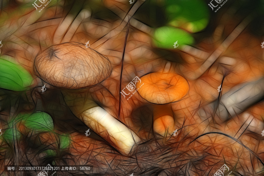 抽象蘑菇,電腦畫