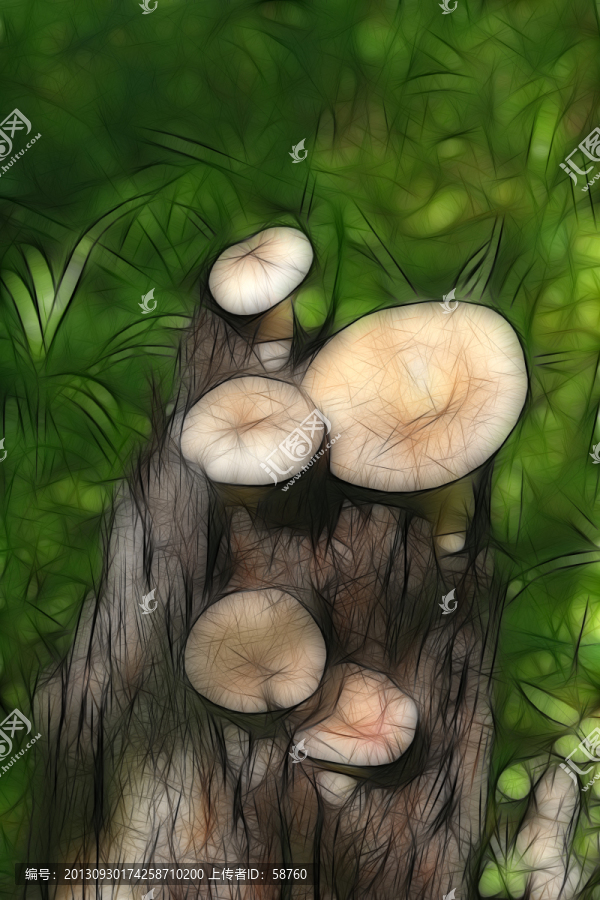 抽象蘑菇,电脑画
