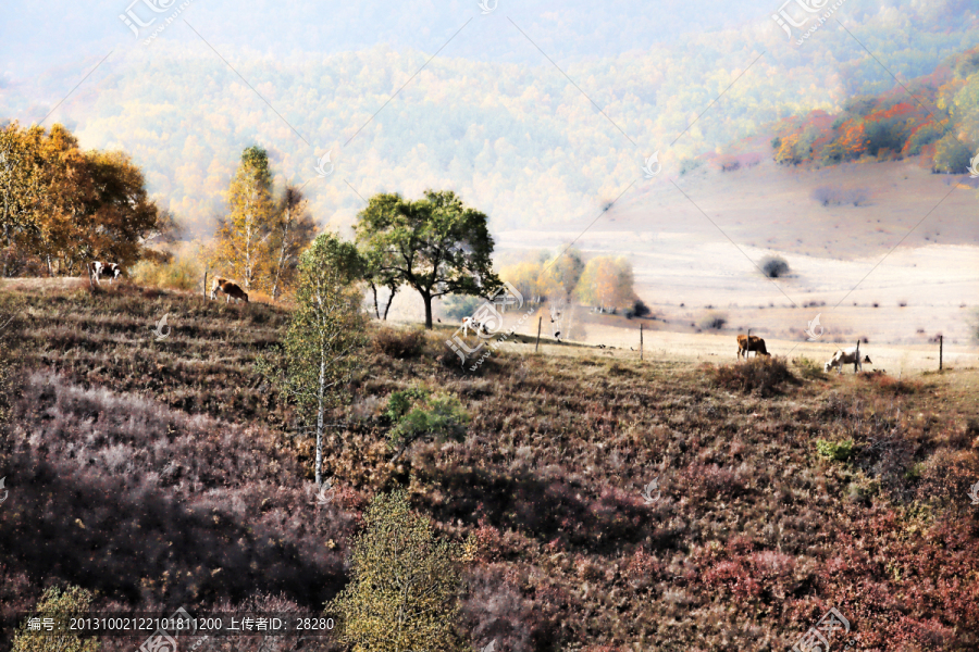 水彩畫,自然風(fēng)景