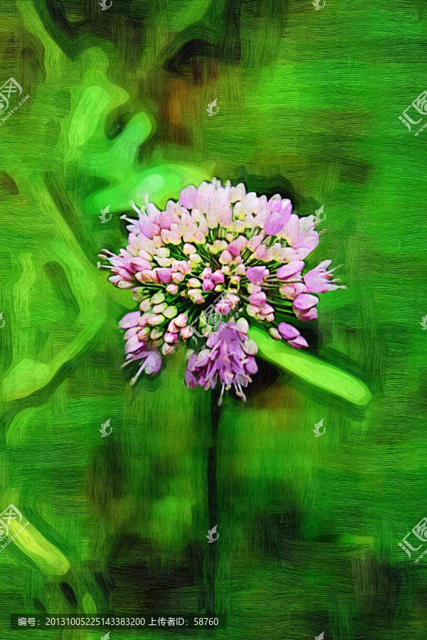 抽象花卉,電腦畫