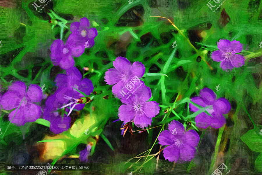抽象花卉,電腦畫