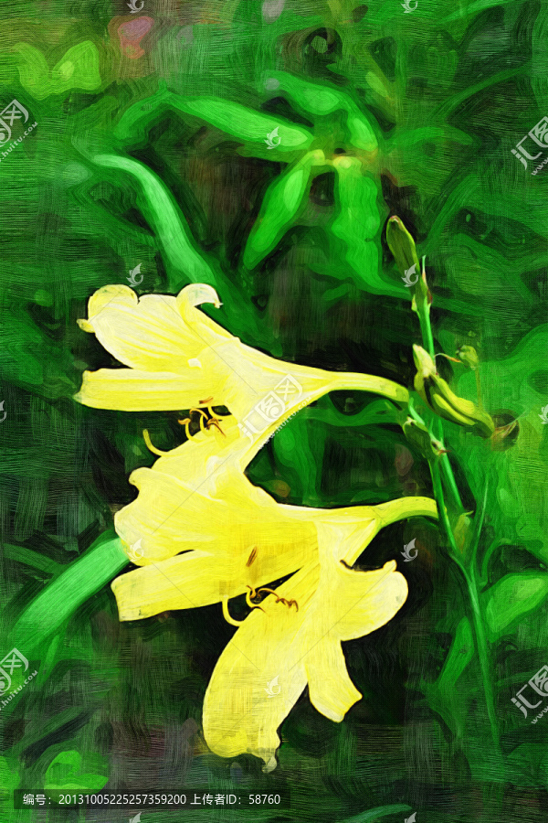 抽象花卉,電腦畫(huà)