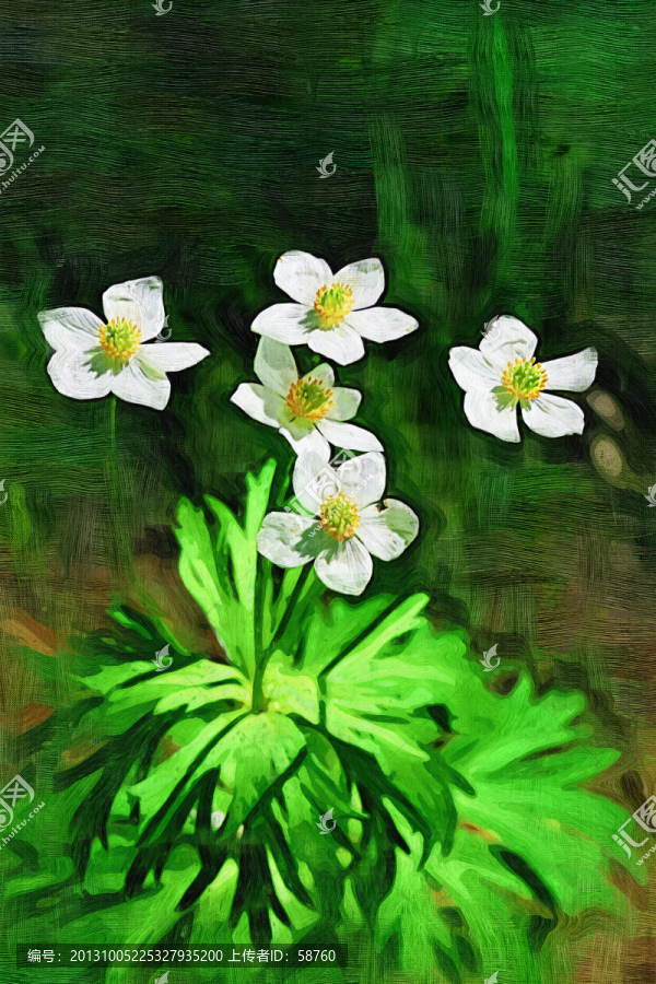 抽象花卉,电脑画