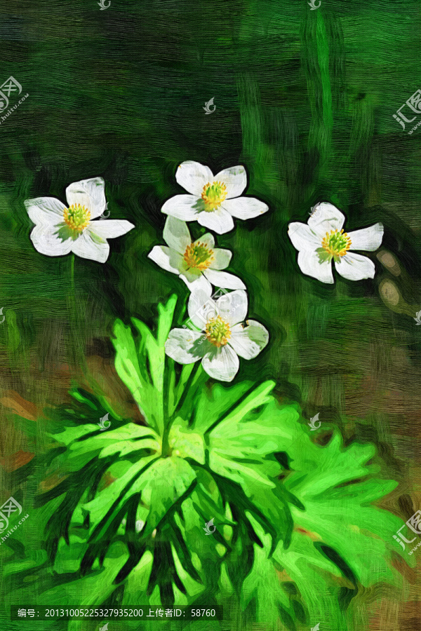 抽象花卉,電腦畫