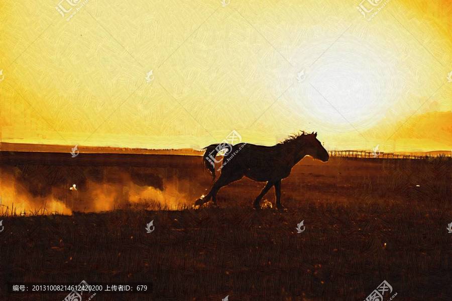 奔跑的馬兒