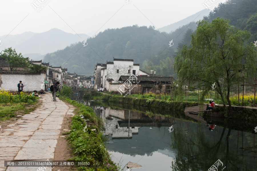 理坑村,临水而居,绿树,写生