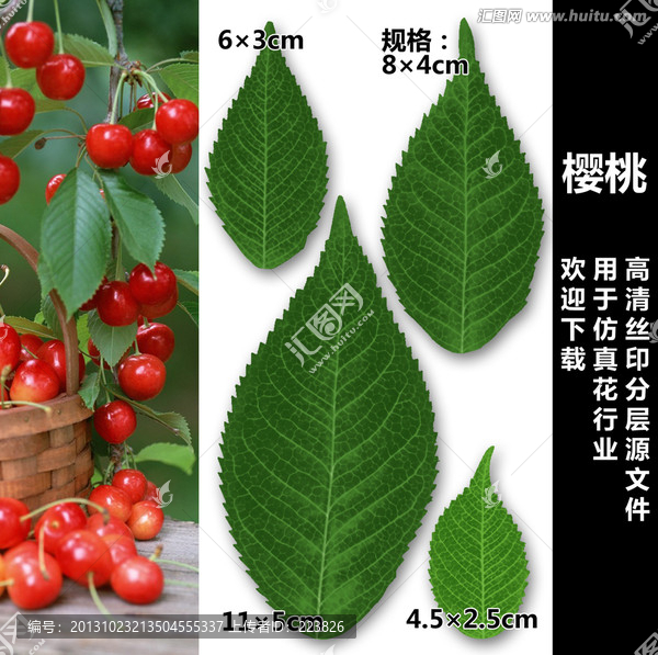 櫻桃