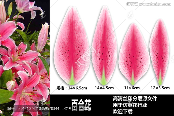百合花