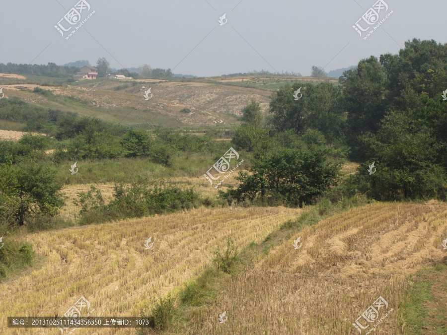 丘陵秋景