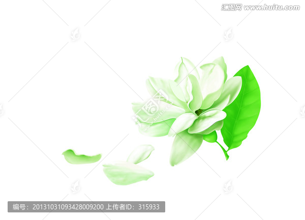 手繪茉莉花