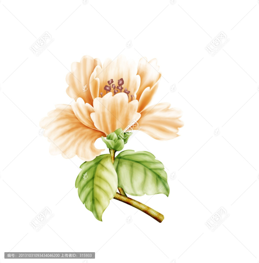 手繪花