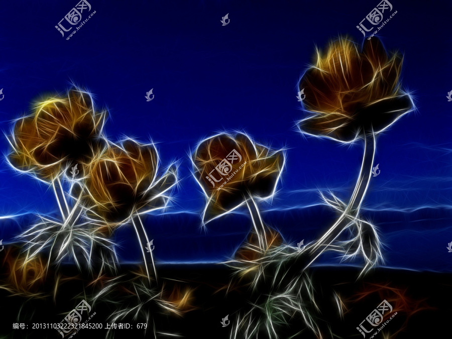 裝飾畫,,花兒