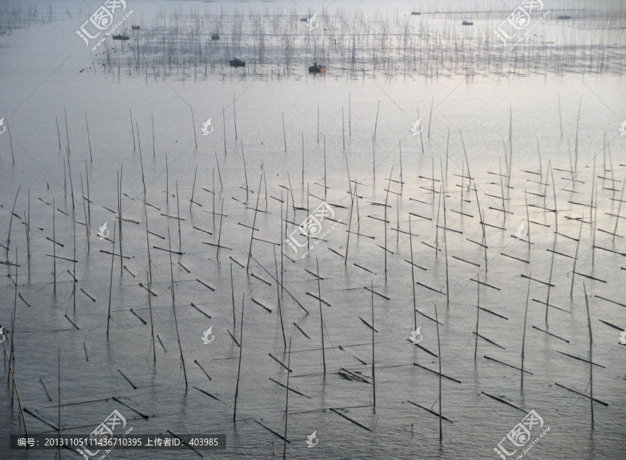 福建霞浦滩涂