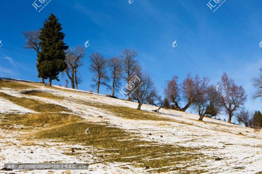 草原初雪