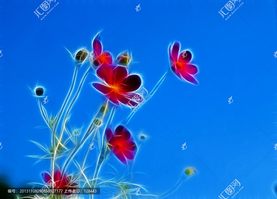 花朵裝飾畫