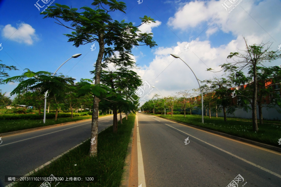 道路