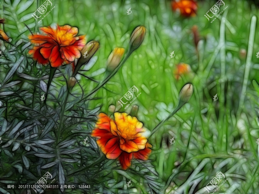 黃花裝飾畫