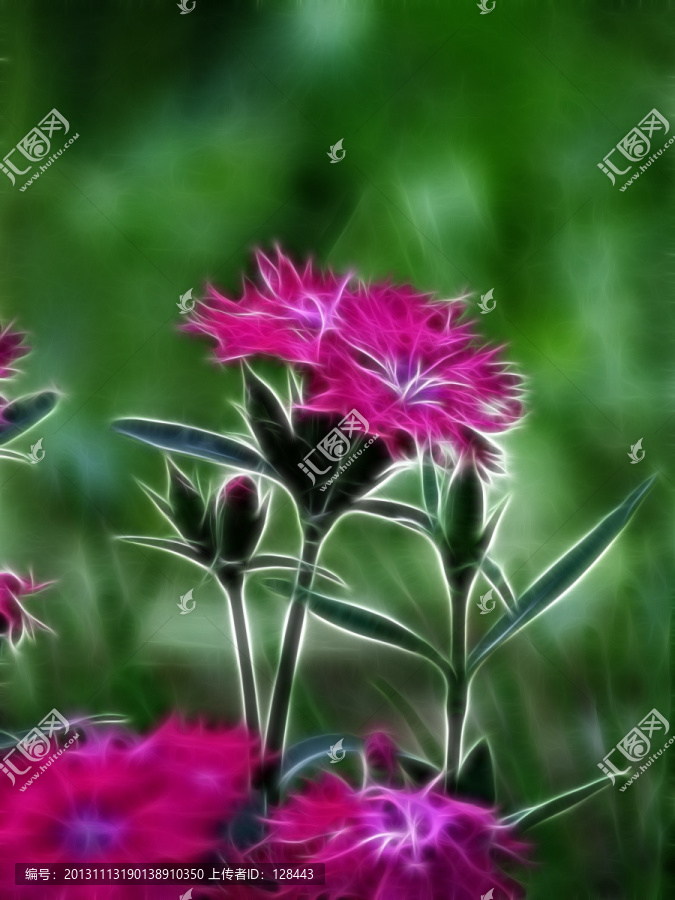 小花