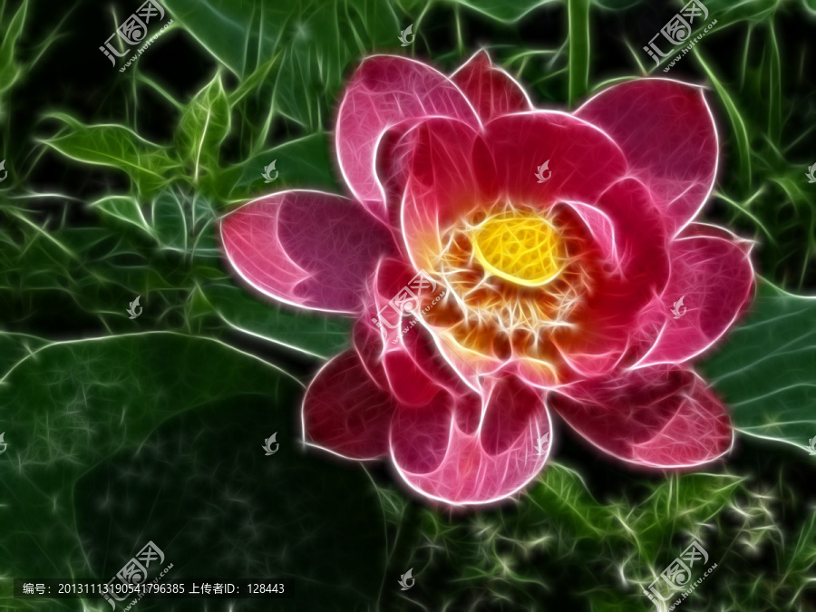 荷花裝飾畫(huà)
