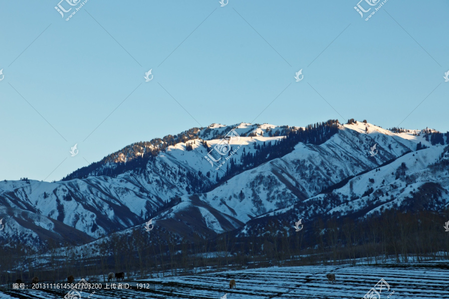 雪山,田野