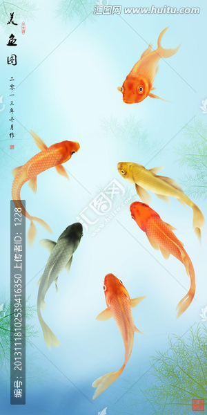 金魚,美魚圖