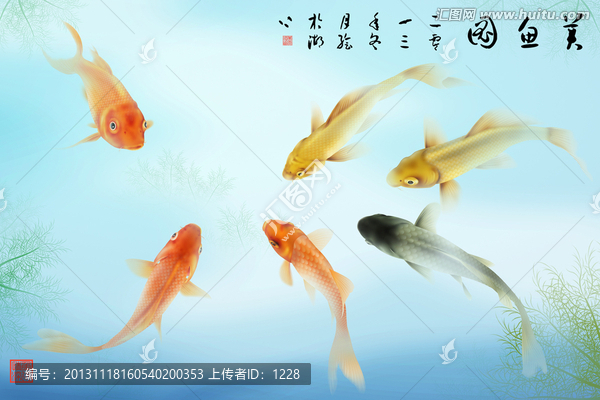金魚(yú),美魚(yú)圖（橫式）