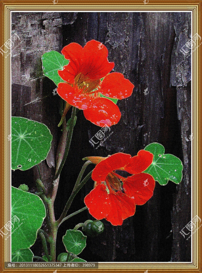 花,裝飾畫