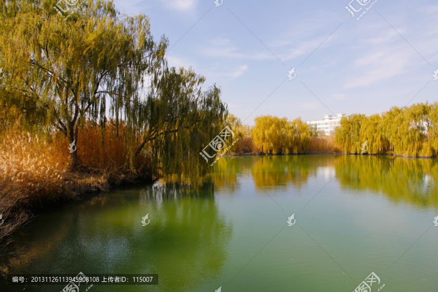 湖景秋色