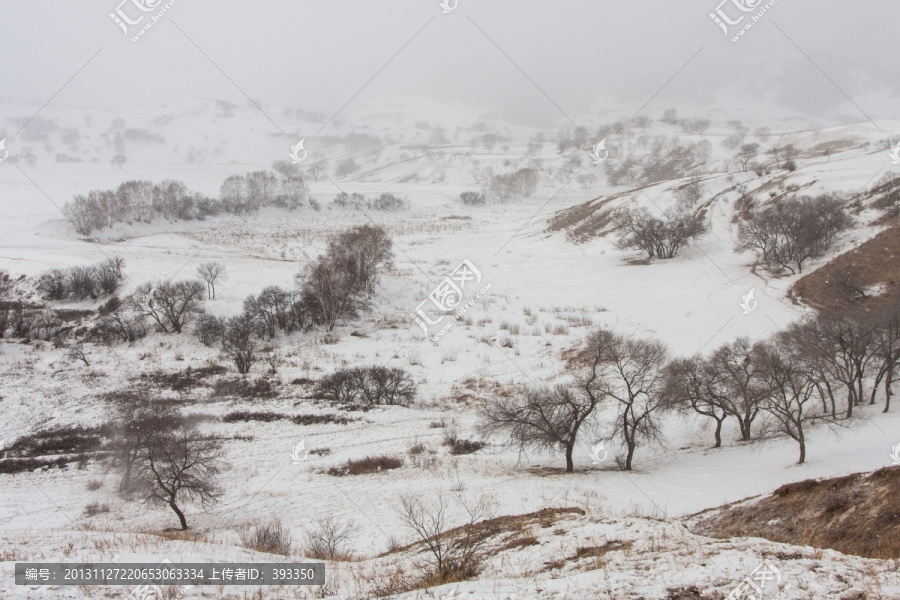 冬日雪原,暴风雪,下雪