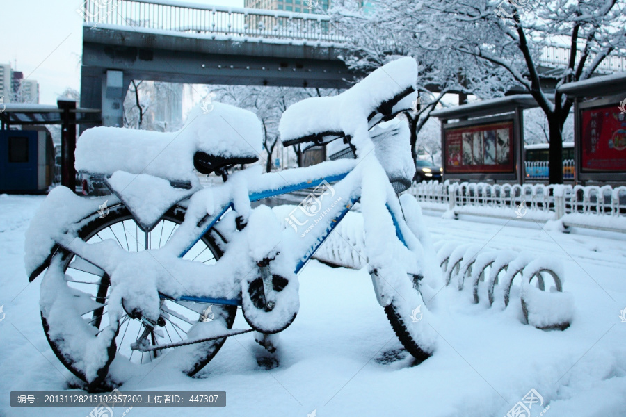 瑞雪