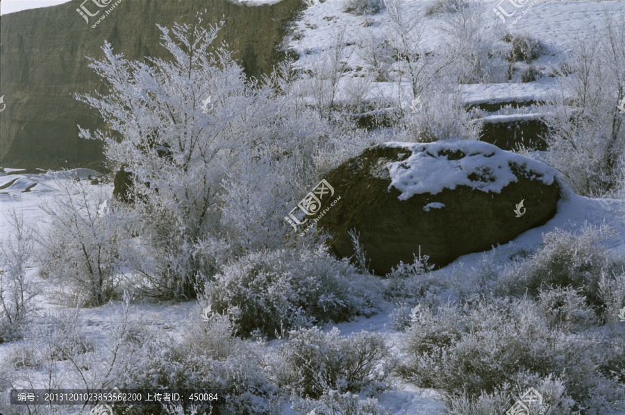 雾凇,冬季雪原,冰天雪地