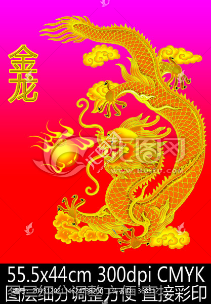 龍,金龍