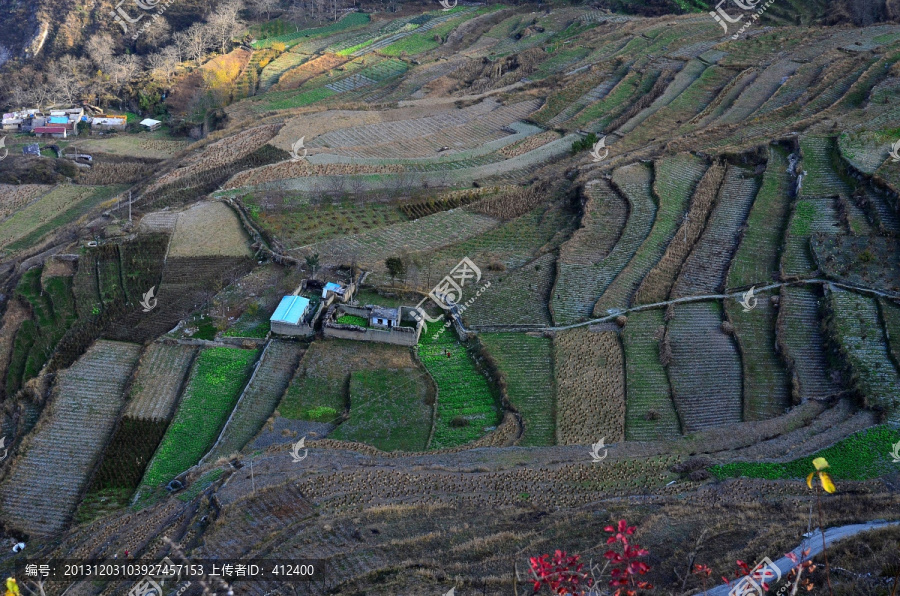 深山田园