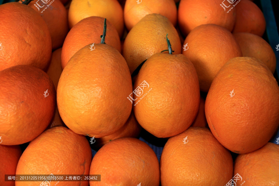 鹅蛋柑橘