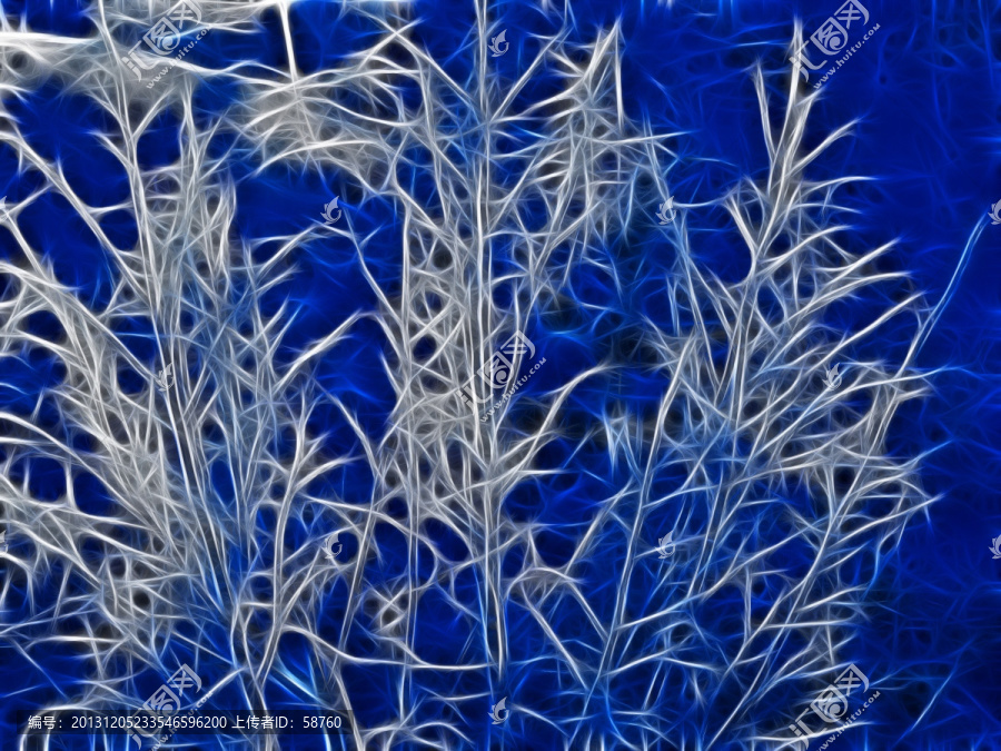 雪枝,電腦畫