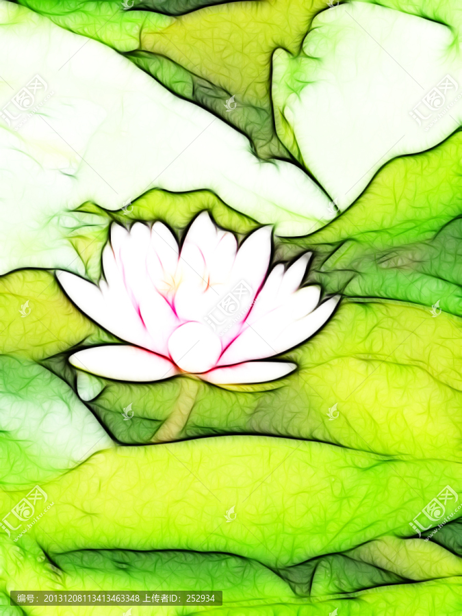 蓮花