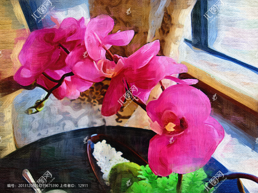蝴蝶蘭,花卉裝飾畫